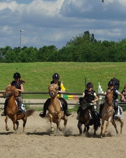 rencontres equestres mediterraneennes 2012