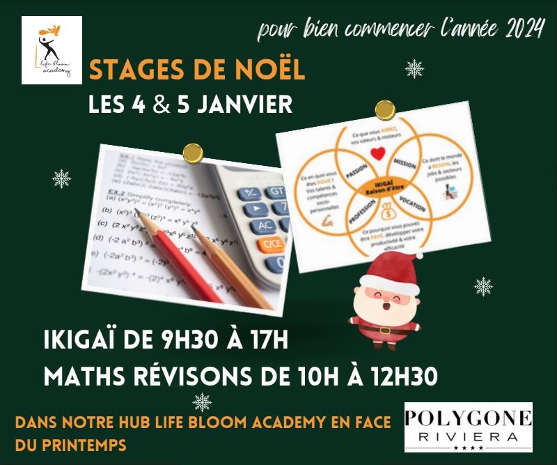 stage-revision-cours-vacances-scolaires-noel-adolescent-colegien-lyceen-nice-cagnes-06