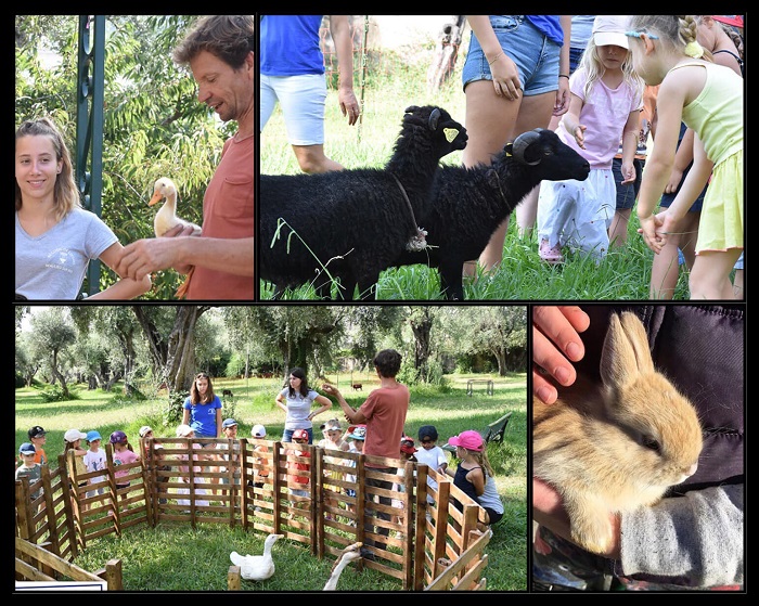 fete-ferme-robinson-parc-mandelieu-napoule-animaux-sorties-famille-alpes-maritimes-06