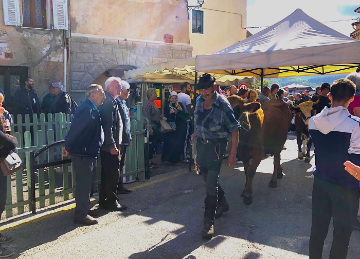 fete-brous-retour-bergers-belvedere-animations-foire-agricole