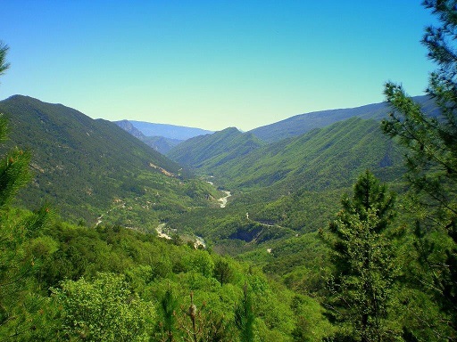 itineraires-randonnee-faciles-famille-alpes-maritimes-balades-natures-foret-riviere