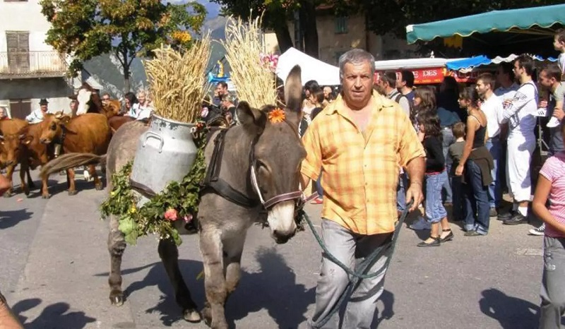 fete-brous-belvedere-sortie-famille-alpes-maritimes-06-cote-azur