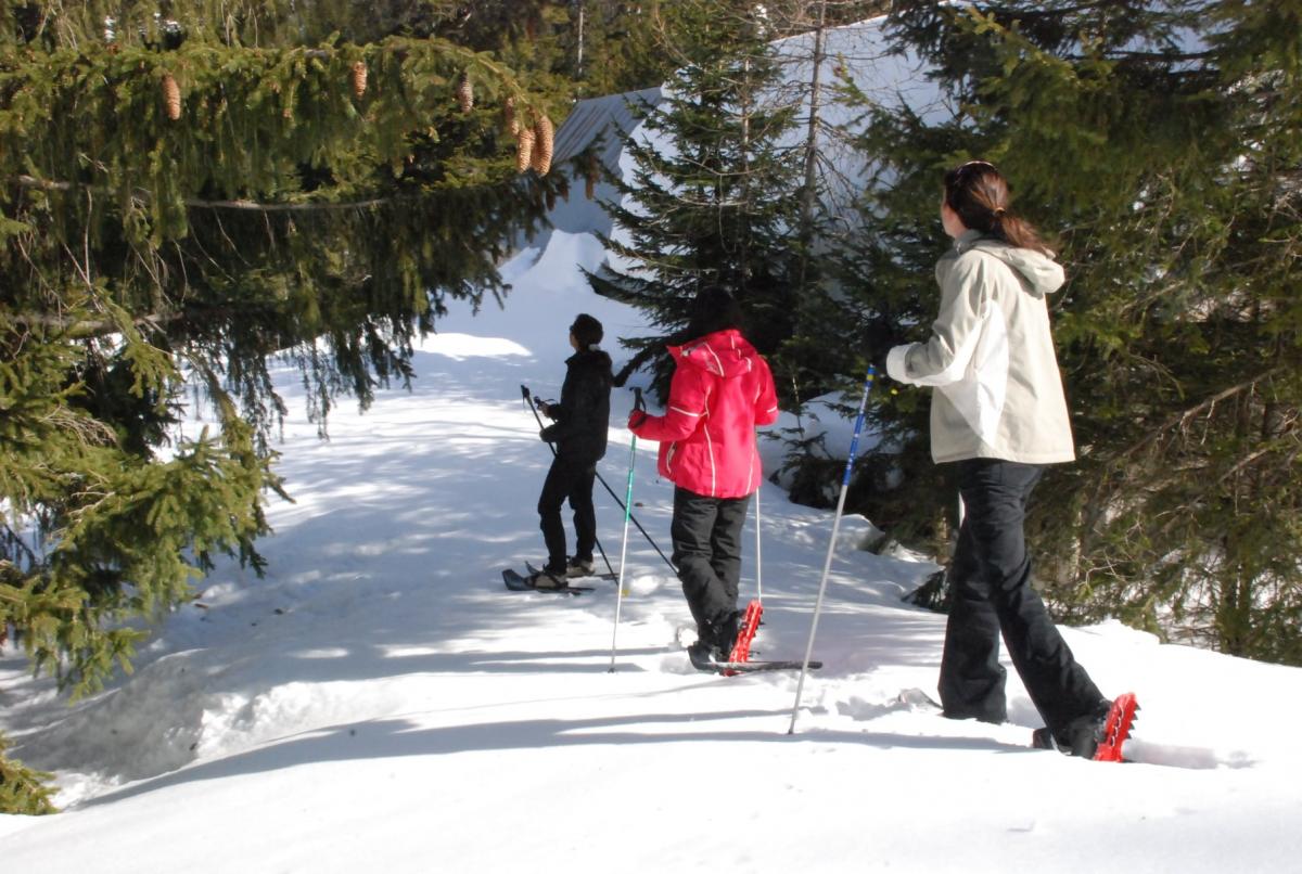 boreon-centre-ski-nordique-fond-circuits-raquettes-neige-alpes-maritimes