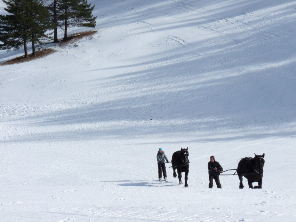 activites-neige-vacances-ski-montagne-loisirs-hiver-colmiane-alpes-sud