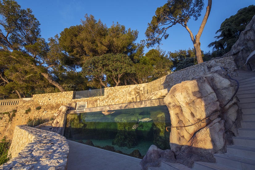 musee-oceanographique-monaco-aquarium-visite-horaires-tarifs-billets-animations