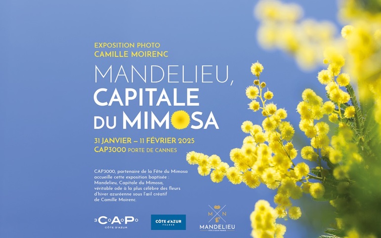 cap3000-sortie-vacances-famille-animations