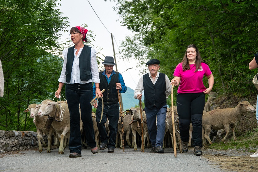 fete-village-transhumance-bergers-troupeau-moutons-montagne-tinee-06