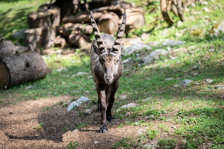 sortie-famille-enfants-vacances-toussaint-octobre-halloween-nice-alpes-maritimes