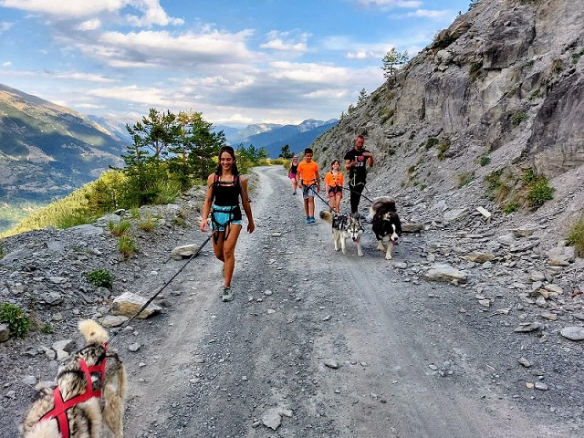 randonnee-chiens-de traineau-montagne-stations-alpes-maritimes-roubion-06