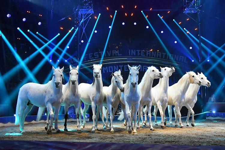 festival-international-cirque-monaco-numeros-programme-spectacle-cote-azur-2026