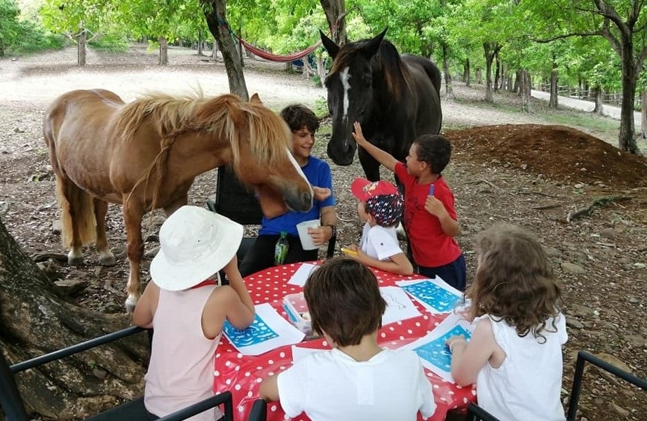 activites-enfants-nature-poney-eveil-animaux-ete-stage