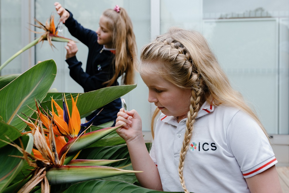 ecole-privee-internationale-bilingue-isn-enfant-adolescent-college-lycee-nice-cote-azur