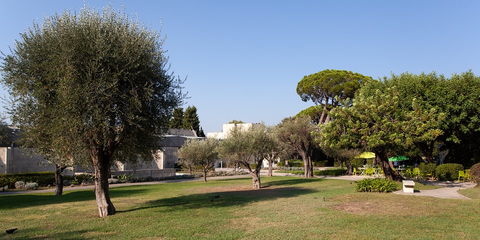 activite-sortie-famille-enfant-adolescent-vacances-week-end-nice-visite-musee