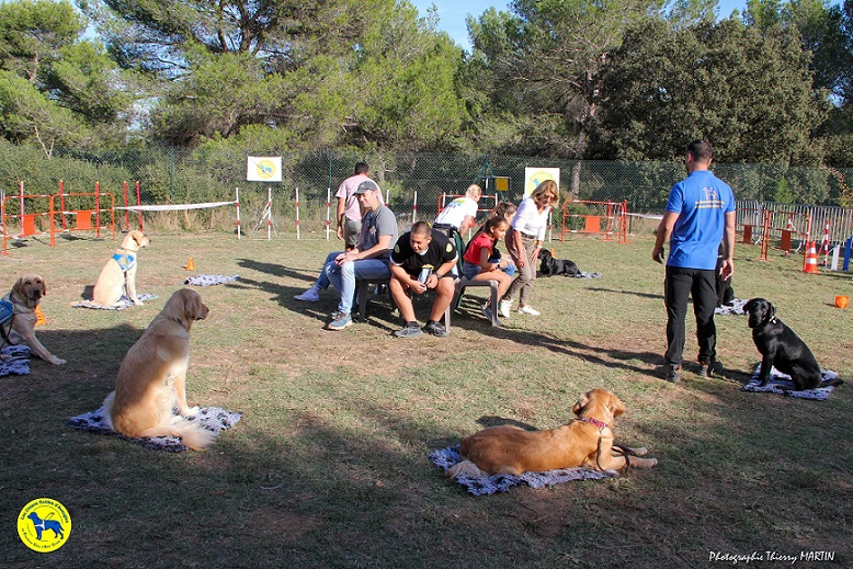 journee-animations-demonstrations-chiens-guides-alpes-maritimes-sud-06