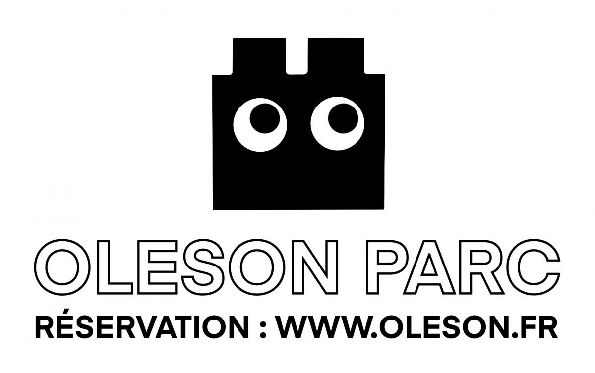 oleson-parc-nice-salles-jeux-construction-lego-kapla-enfants-anniversaire