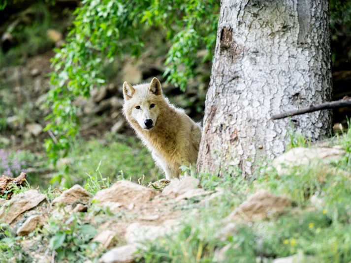activites-animations-vacances-toussaint-halloween-enfants-famille-nice-cote-azur-06