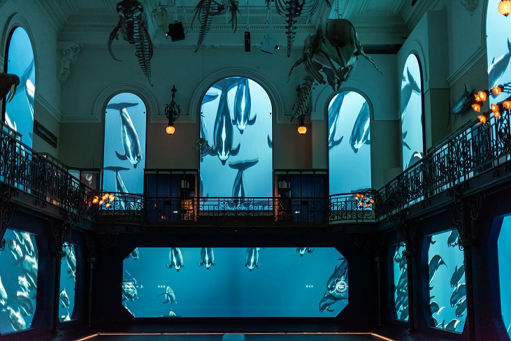 expositions-musees-visite-cote-azur-monaco-dates-horaires-tarifs
