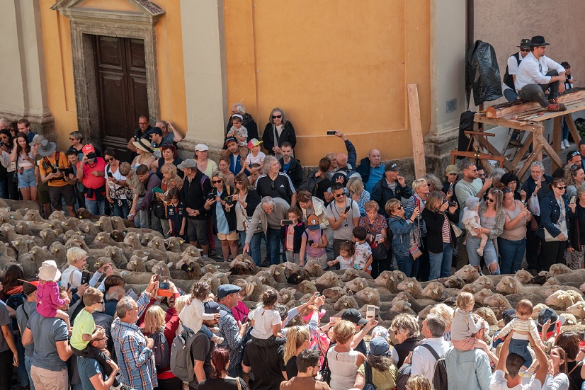 sortie-famille-enfants-fete-animaux-moutons-village-montagne-alpes-maritimes