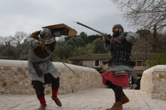 combat-medieval-biot