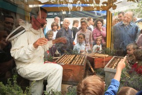vente-miel-mouans-sartoux-apiculteur-fete-famille