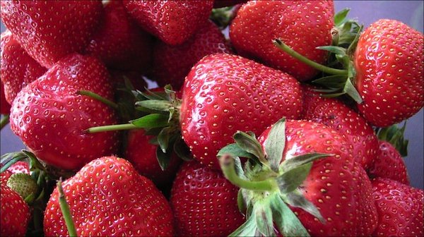 fete-fraises-carros-village-festivites-fraise-enfant-degustation