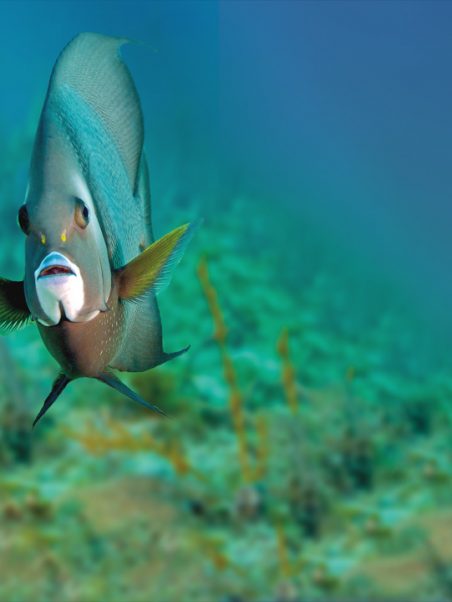 photo-avec-poisson-musee-oceanographique-monaco-concours-vacances-toussaint-2021