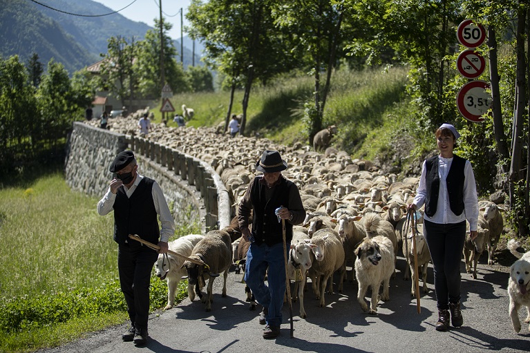 fete-village-transhumance-troupeau-moutons-montagne-tinee-06
