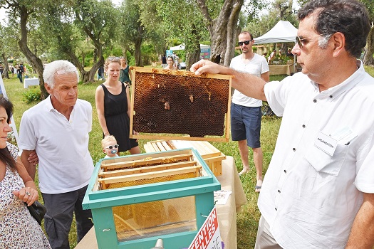sortie-famille-fete-nature-06-enfants-ateliers-environnement-abeilles