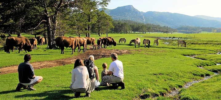 sortie-famille-nature-reserve-biologique-bisons