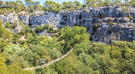 sortie-famille-accrobranche-06-canyon-forest