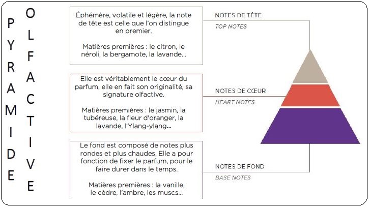 molinard-atelier-parfum-pyramide-olfactive-notes