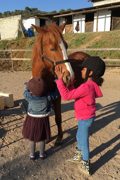 activite-vacances-enfant-poney-equitation-06