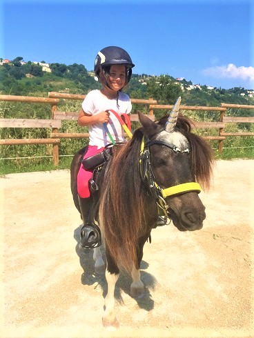 sun-equitation-centre-equestre-poney-nice
