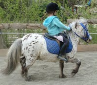 activite-enfants-vacances-poney-equitation-06