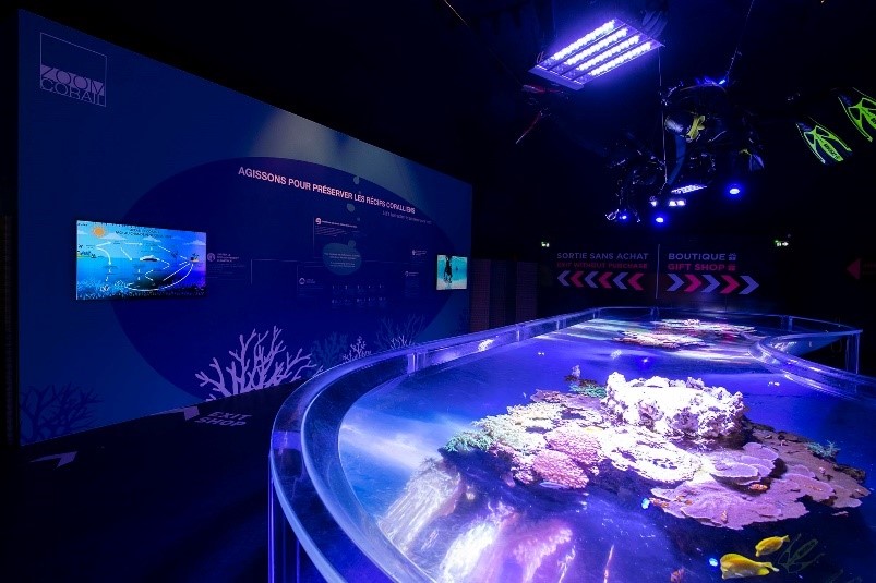 animations-vacances-enfants-musee-aquarium-monaco