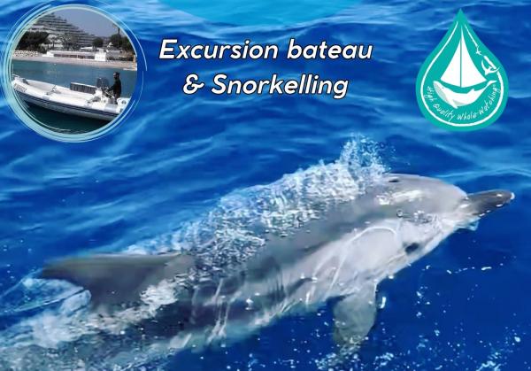 excursion-bateau-mer-befree2dive-villeneuve-loubet-mediterranee