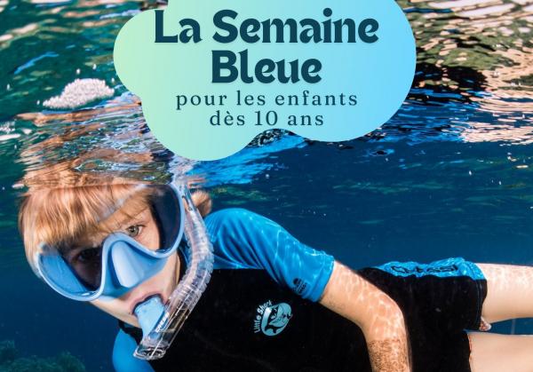 stage-enfant-plongee-befree2dive-villeneuve-loubet