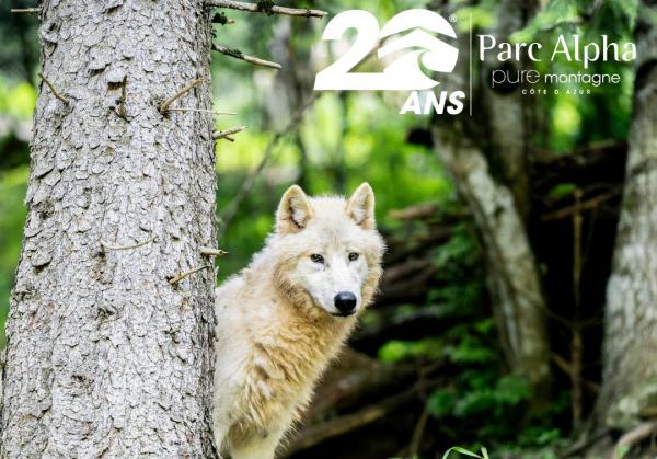 parc-alpha-loup-vesubie-boreon-famille