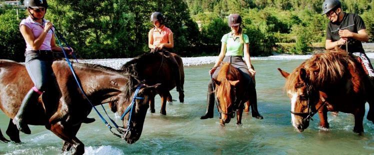 domaine-amitie-centre-equestre-spa-hebergement