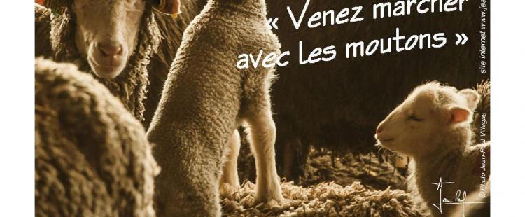 fete-transhumance-roubion-programme-alpes-maritimes-2023