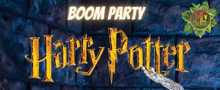 boom-party-harry-potter-ml-kids-nice