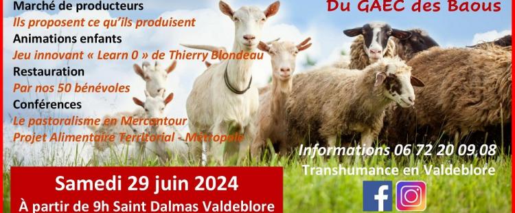 transhumance-animaux-montagne-animations-bolline-valdeblore-2024