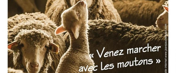 fete-transhumance-roubion-programme-alpes-maritimes-2024
