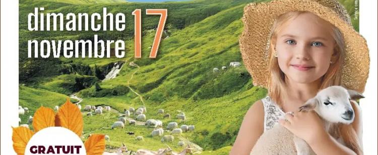 fete-chataigne-cagnes-sur-mer-programme-2024