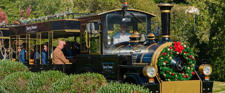 express-petit-train-shopping-promenade-riviera-cagnes-mer