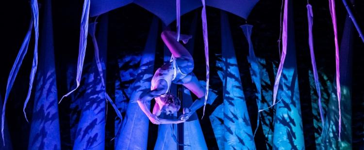 spectacle-cirque-eveil-2024-alpes-maritimes