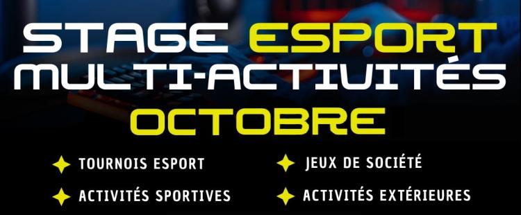 stage-esport-jeux-video-sport-asbtp-nice-06