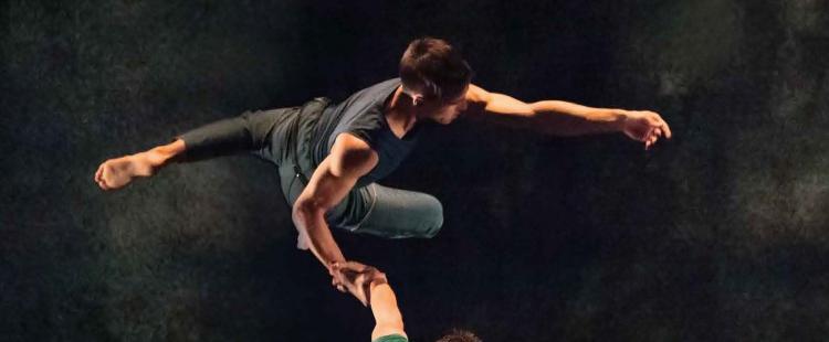 vertikal-compagnie-kafig-cannes-spectacle-danse