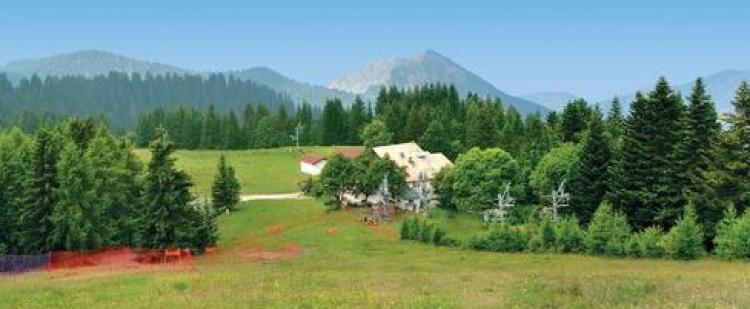 turini-camp-argent-ete-activites-famille