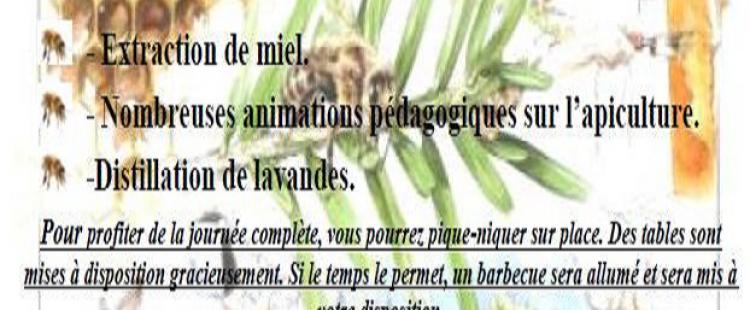 journee-apiculture-coop-baous-vence-sortie-famille